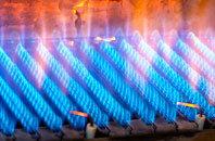 Stenigot gas fired boilers